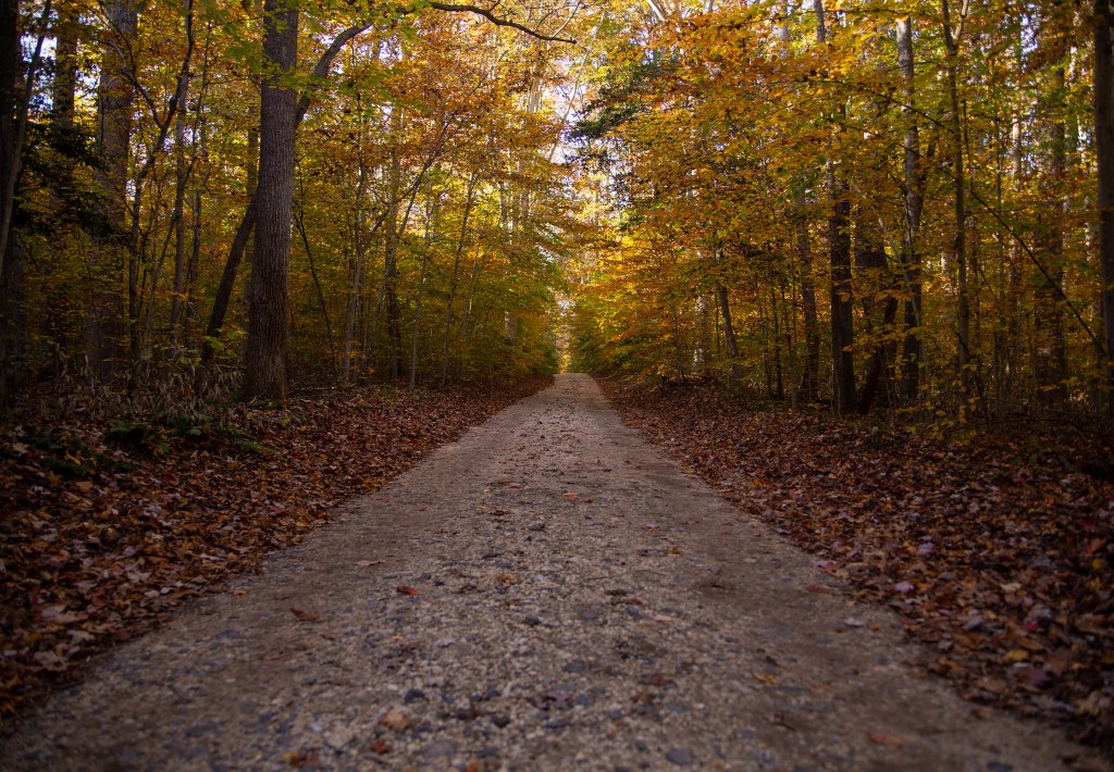Cedarville State Forest