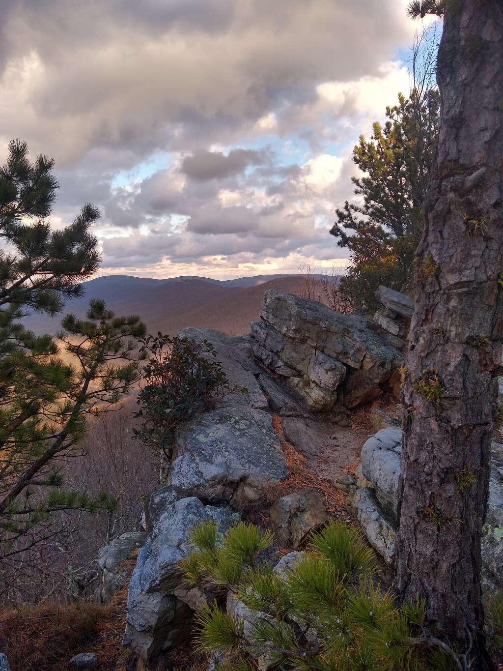Tibbet Knob